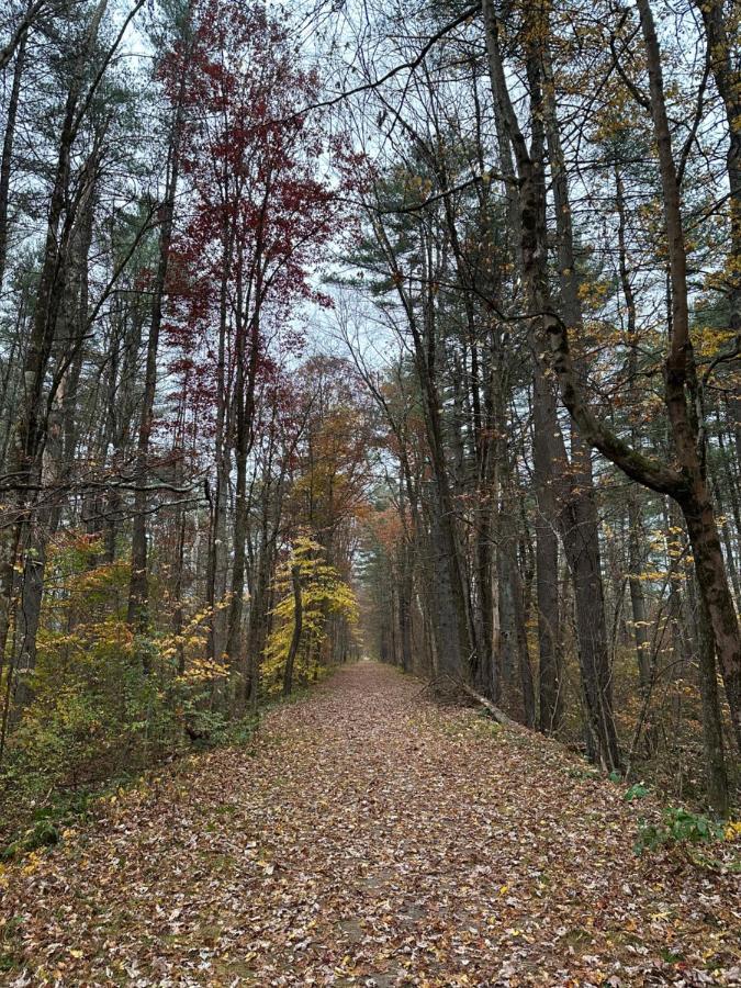 Escape To A Streamside Cabin In The Lower Catskills Wurtsboro Extérieur photo