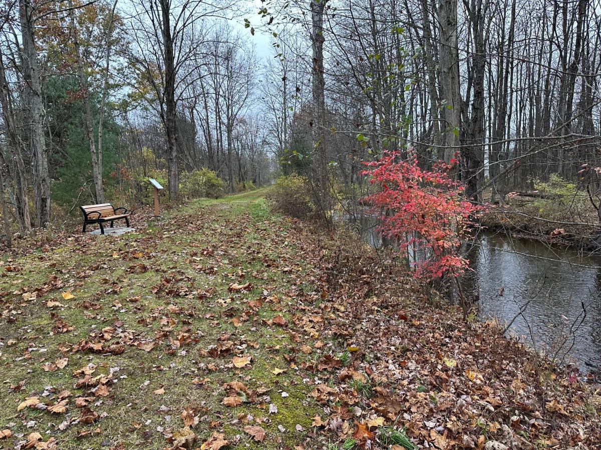 Escape To A Streamside Cabin In The Lower Catskills Wurtsboro Extérieur photo
